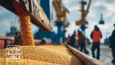 تخلیه دانه‌های سویا یا ذرت دامی از کشتی در بندر با حضور کارگران و تجهیزات بارگیری؛ نمادی از واردات نهاده‌های دامی در ایران با لوگوی تجارت دانه کیهان