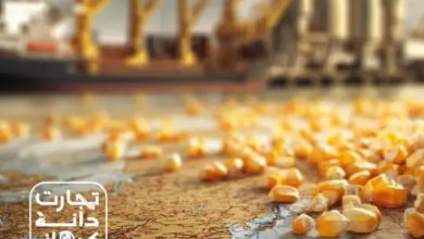 ذرت دامی روی نقشه مسیرهای واردات؛ نماد زنجیره تأمین نهادههای دامی ایران.